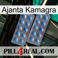 Ajanta Kamagra viagra4
